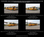 Ikarus 280.02 Gelenkbus, orange, DDR-Kennzeichen TD 56 69, Baujahr 1990, NVK, Nahverkehr Karl-Marx-Stadt, Bus Nr.
