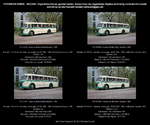 IFA H 6 B/L Linienbus, creme-grün, Kennzeichen DD RV 1087, Baujahr 1956 (Neuaufbau 1996/97), Omnibus mit 34+2 Sitzen, Kraftverkehr Dresden, Hersteller: VEB IFA-Kraftfahrzeugwerk  Ernst Grube 