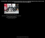 DKW E 200 Motorrad, Zweirad, schwarz, Baujahr 1928, Deutsches Reich, Deutschland, Oldtimer - fotografiert am 05.02.2015 im August-Horch-Museum Zwickau/Sachsen www.horch-museum.de - Sedcard, comp card,