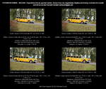 Checker Aerobus A-11W 8 8dr Sedan NYC Taxi, gelb, Baujahr 1967, 12 Sitze, Taxi von New York City, USA - fotografiert am 07.10.2017 zur 3.