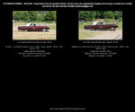 Ford Thunderbird 2dr Convertible, Cabrio 2 Türen, rotbraun, Bauzeit des Thunderbirds der 3.