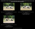 Triumph TR 3 A Roadster 2 Türen, creme, Bauzeit 1957-1961, GB, Großbritannien, UK, United Kingdom, 2-door Convertible, Cabrio - fotografiert am 27.05.2012 zum Oldtimertreffen  Die Oldtimer