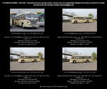 IFA H 6 B/S Stadtlinienbus, beige, Kennzeichen DD VB 1206, Bus Nr.