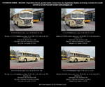 IFA H 6 B/S Stadtlinienbus, beige, Kennzeichen DD VB 1206, Bus Nr.