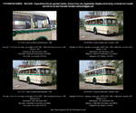 IFA H 6 B/L Linienbus, creme-grün, Kennzeichen DD RV 1087, Baujahr 1956 (Neuaufbau 1996/97), Omnibus mit 34+2 Sitzen, Kraftverkehr Dresden, Hersteller: VEB IFA-Kraftfahrzeugwerk  Ernst Grube 