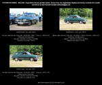 Saab 95 Kombi 3 Türen, grün, Bauzeit 1969-1974, Schweden - fotografiert am 27.05.2012 zum Oldtimertreffen  Die Oldtimer Show  MAFZ Erlebnispark Paaren/ Glien (Land Brandenburg) - Sedcard,