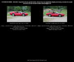 Ferrari 308 GTS Spider, Targa 2 Türen, rot, Bauzeit 1975-1980, Sportwagen, Italien - fotografiert am 27.05.2012 zum Oldtimertreffen  Die Oldtimer Show  MAFZ Erlebnispark Paaren/ Glien (Land