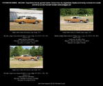 Dodge Polara Custom 2dr Hardtop Coupe, beige, Baujahr 1973, Bauzeit 1969-1973, USA - fotografiert am 27.05.2012 zum Oldtimertreffen  Die Oldtimer Show  MAFZ Erlebnispark Paaren/ Glien (Land